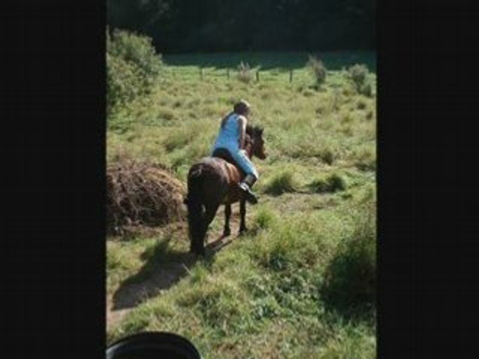 l-amour-entre-une-cavali-re-et-son-poney-vid-o-dailymotion