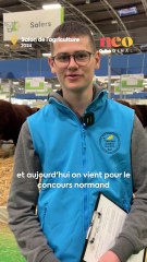 Gratien a 18 ans et participe au concours de juré du Salon de l’agriculture pour pointer les vaches normandes. 