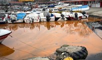 Tekirdağ sahilinde denizin rengi turuncu oldu