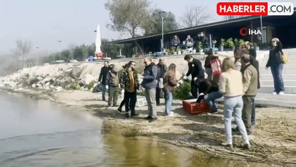 Tedavisi tamamlanan ördekler doğaya salındı