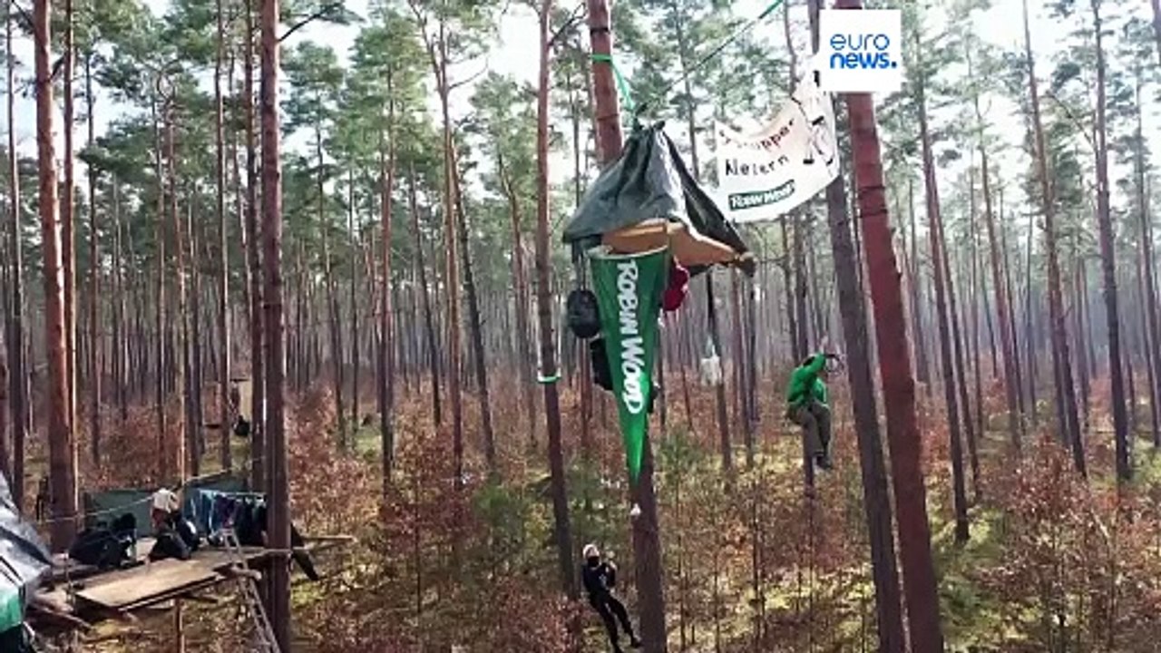 Der Ausbau des Tesla-Werks in Brandenburg elektrisiert den Widerstand