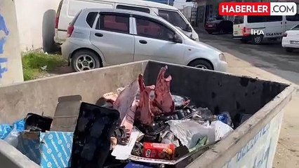 Çöpte eti sıyrılmış tek tırnaklı hayvan kemikleri bulundu