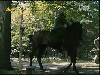 Ballada o człowieku spokojnym - film wojenny