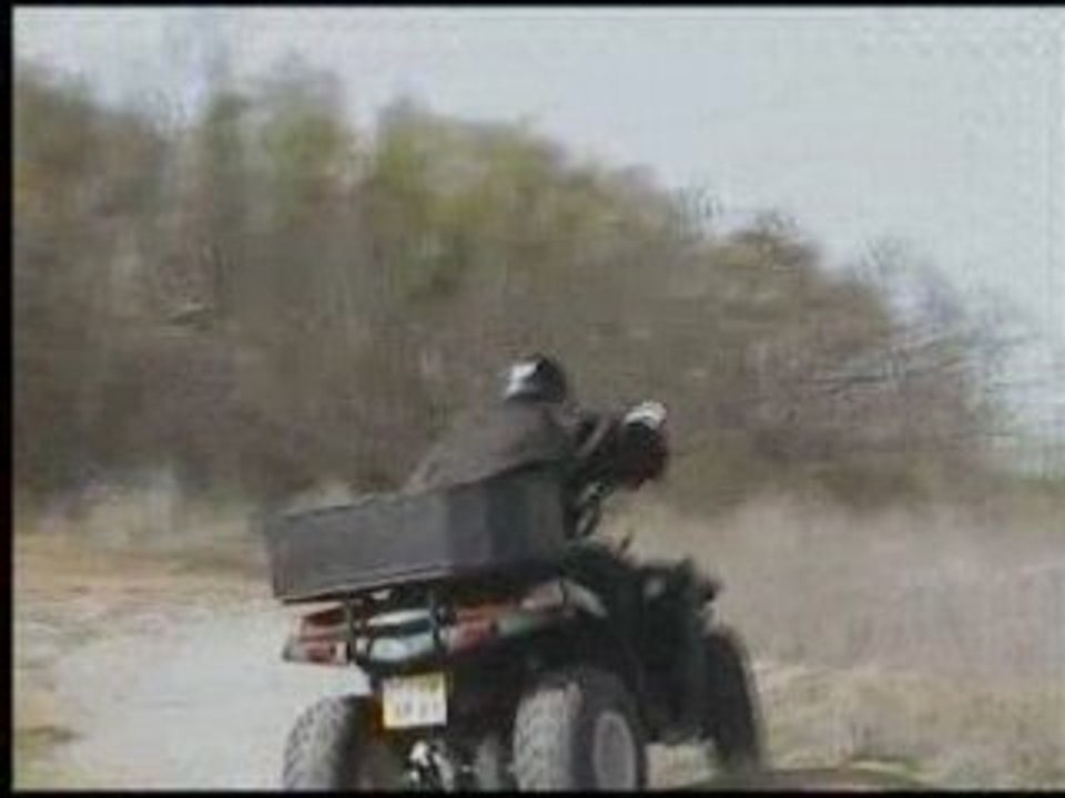 quad sym quadlander 300