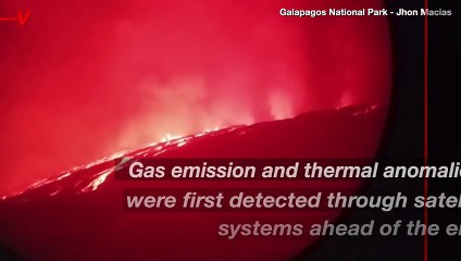 Galapagos Volcano Begins Epic Eruption Just Off the Coast of Ecuador