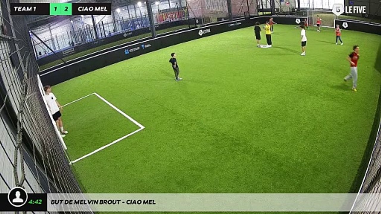 But de melvin brout - ciao mel