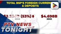 BSP foreign deposits down 53% in 2023