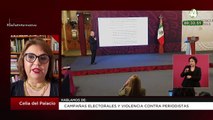 Campañas Electorales y Violencia contra Periodistas: Celia del Palacio