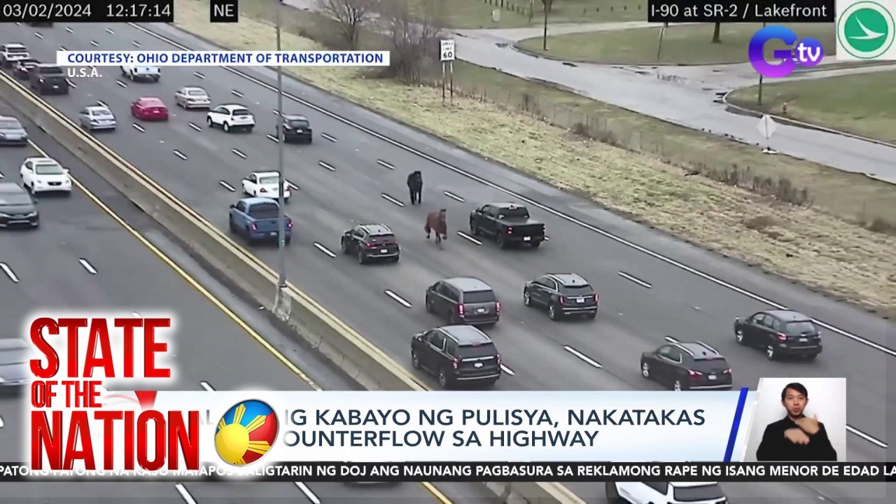 Dalawang kabayo ng pulisya, nakatakas at nag-counterflow sa highway | SONA