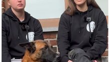Elles recherchent bénévolement avec leurs chiens les disparus!