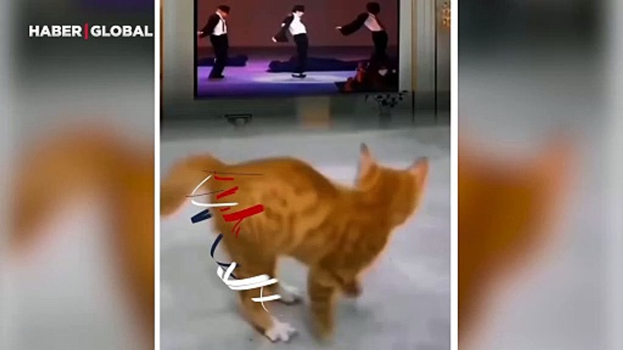 Dansıyla Michael Jackson'ı aratmadı! Karşınızda "Michael Catson"