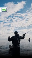 Boleh buat ikan celup