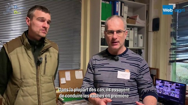 Trois traites par jour pour 700 vaches hautes productrices