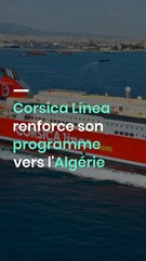 Corsica Línea renforce son programme vers l'Algérie