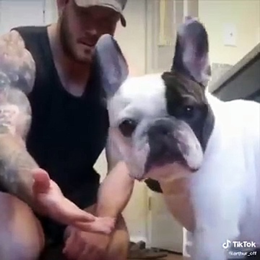 ⁣Funniest Animals  - Awesome Funny Animals' Life Videos  - Cutest Animals Ever