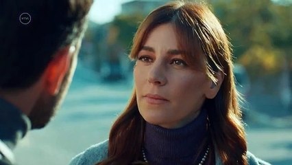 Mavi szerelme 281, sorozat