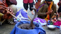 Pakistan: Snake charmers risk their lives to earn a living