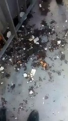 فيديو إصطدام باخرة بجسر بنزرت يثير رعب في بنزرت