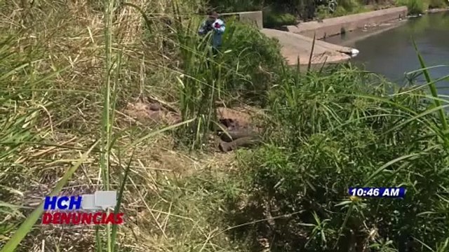 ¡Horror! Semienterrado encuentran cadáver de un hombre en ribera del río Choluteca, TGU
