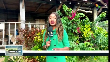 En Haití aumenta crisis de inseguridad por violencia armada