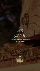 وَأَوْحَىٰ رَبُّكَ إِلَى النَّحْلِ أَنِ اتَّخِذِي مِنَ الْجِبَالِ بُيُوتًا وَمِنَ الشَّجَرِ وَمِمَّا يَعْرِشُونَ