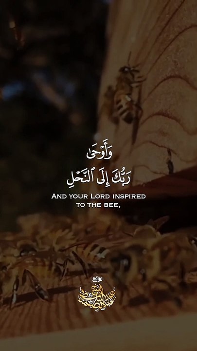 وَأَوْحَىٰ رَبُّكَ إِلَى النَّحْلِ أَنِ اتَّخِذِي مِنَ الْجِبَالِ بُيُوتًا وَمِنَ الشَّجَرِ وَمِمَّا يَعْرِشُونَ