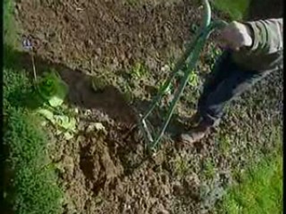 Engrais verts pour une terre bio