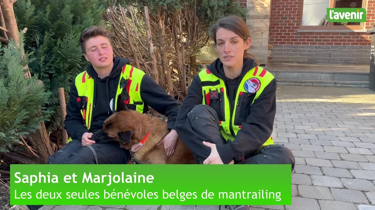 Onyx et Rios, ces chiens qui ont du flair pour retrouver les personnes disparues