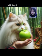 Kucing Gemoy Lucu: Momen Menggemaskan yang Bikin Meleleh” #kucinggemoy #kucingimut #hewanpeliharaan