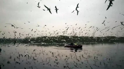 test-video-editor-refactoring