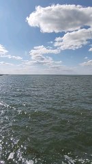 God will take care of you