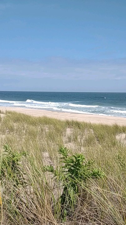 Sunny Beach