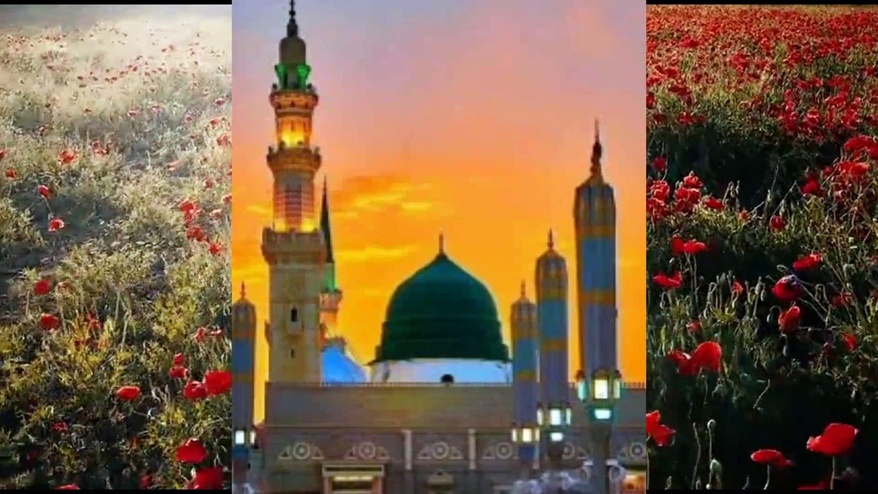 Müziksiz/Gül'i Yarem