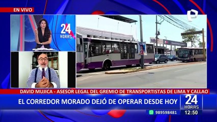 David Mujica: "La informalidad en SJL creció debido al mal servicio que da el corredor morado"