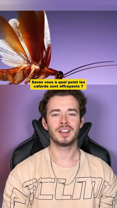 A quel point les cafards sont effrayants ?