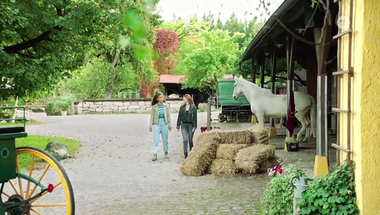 Eine schockierende Nachricht (4210)