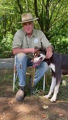 David Gower Freeman discusses life from the army to the farm | March 5, 2024 | Queensland Country Life