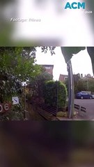 Man rescued from car after it falls off embankment in Sydney