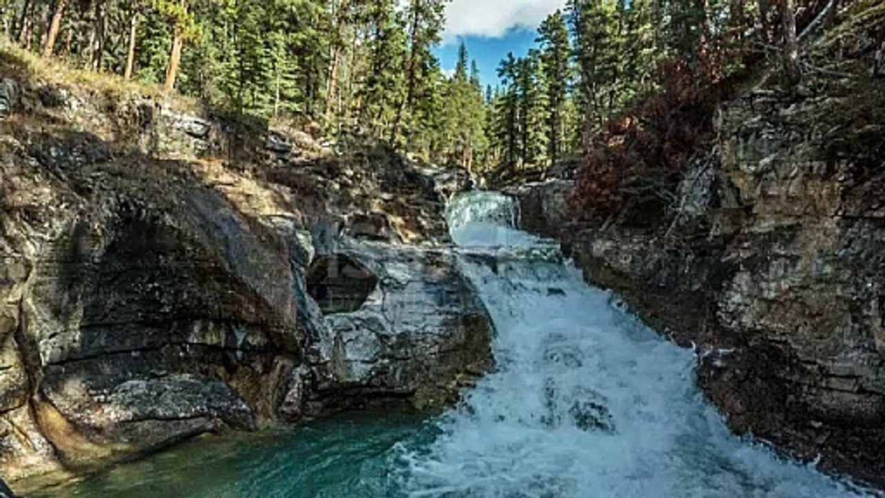 Forest falls