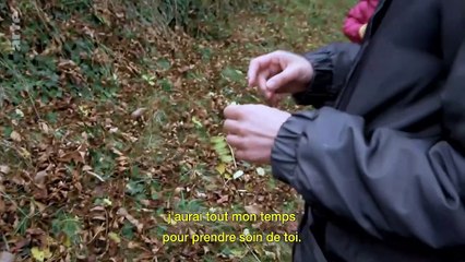 Fais le mort ! _ La lucarne _ ARTE
