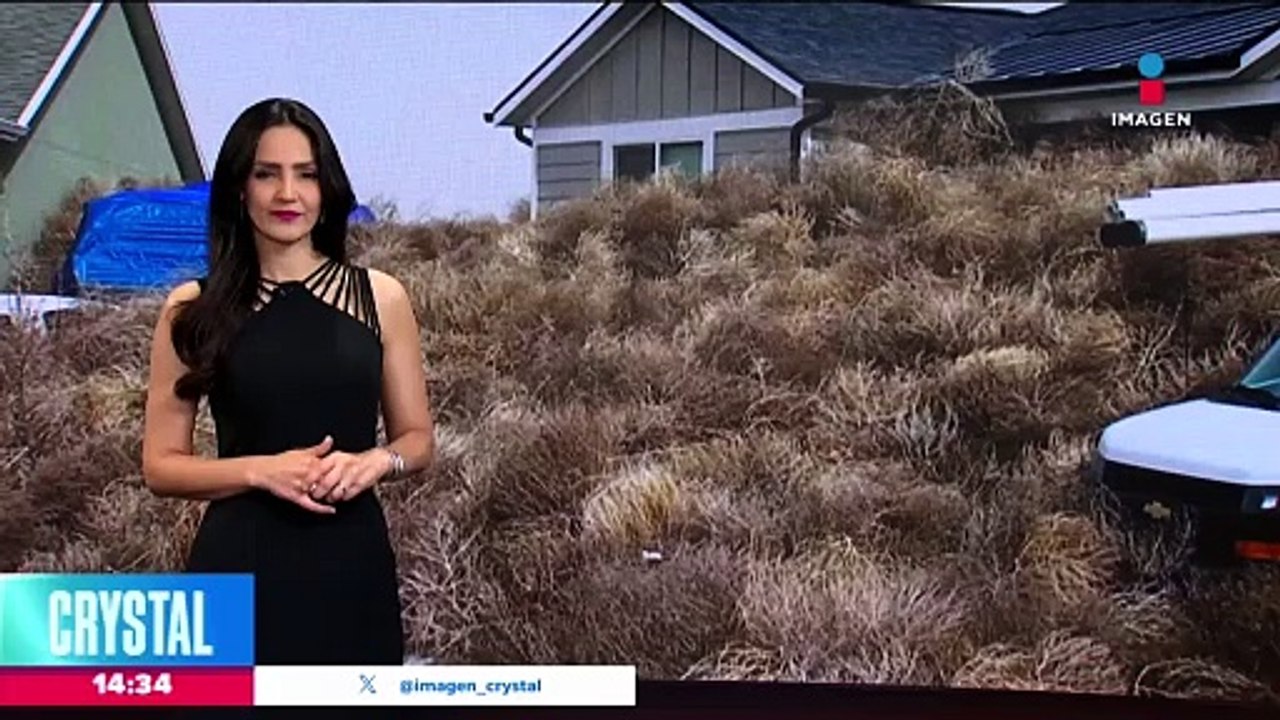 Se registra tormenta de nieve en California