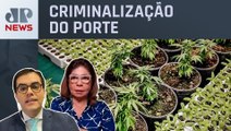 Senado pode votar PEC das drogas nesta quarta (06), Dora Kramer e Cristiano Vilela comentam