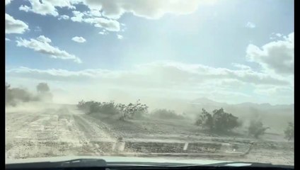 Quartzsite Series: Petroglyphs, Dog Charges and Caves