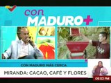 Gob. de Miranda Héctor Rodríguez: Estamos exportando 3 mil kg mensuales de café