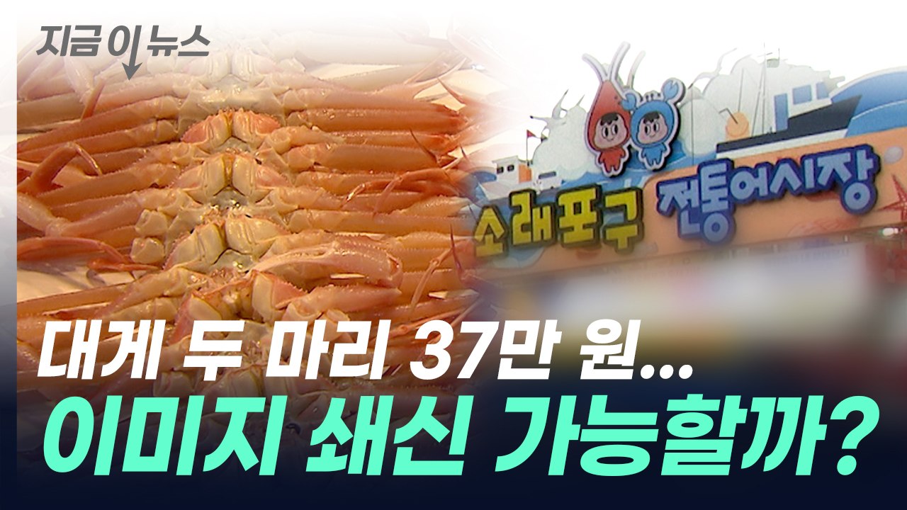 대게 두 마리 37만 원...소래포구, 이미지 쇄신 가능할까? [지금이뉴스] / YTN
