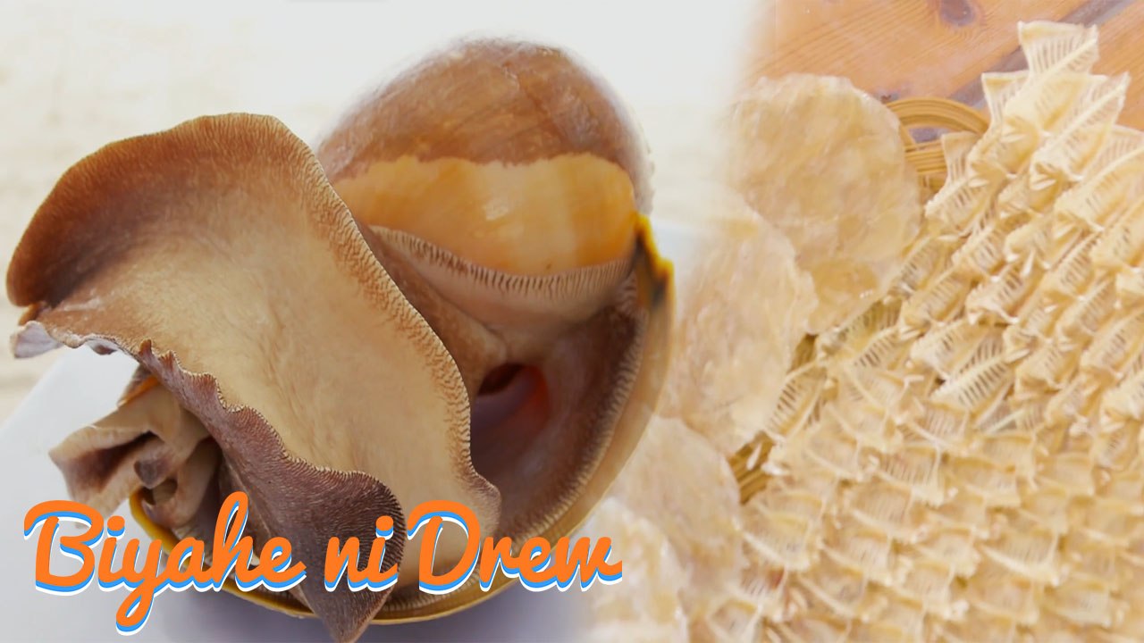 Pambatong seafoods ng Bantayan Island, Cebu, tikman! | Biyahe ni Drew