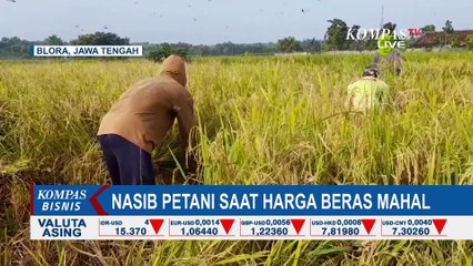 Kenaikan Harga Beras Sumbang Inflasi di Bulan Februari