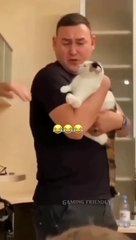 the end shorts shortvideo funnyvideo fails