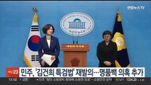 민주, '김건희 특검법' 재발의…명품백 수수 의혹 추가