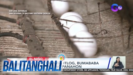 Kalidad ng mga itlog, bumababa dahil sa init ng panahon | BT
